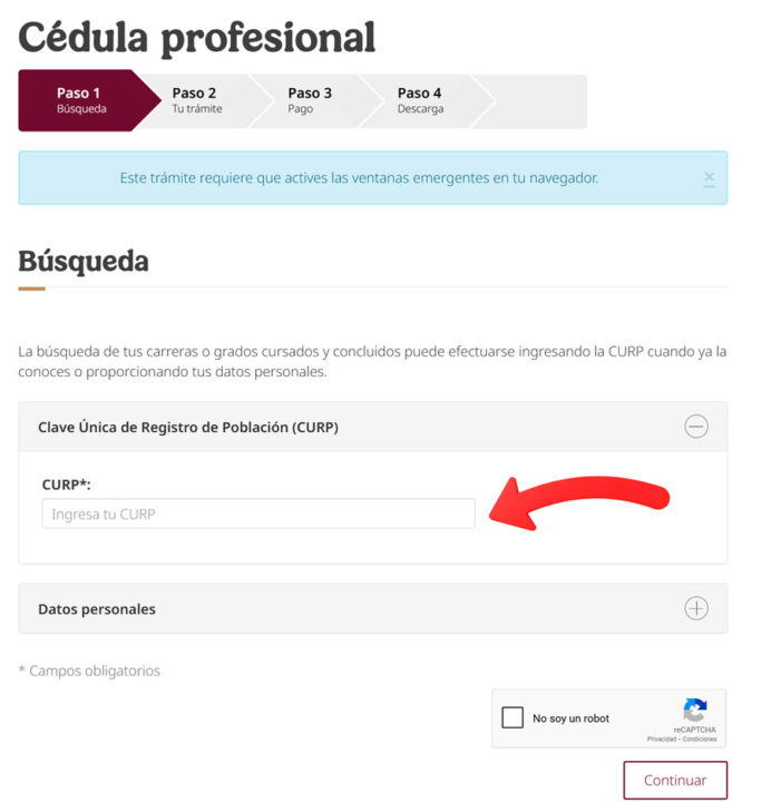 Captura de pantalla, ingresar CURP para tramitar tu Cédula profesional electrónica